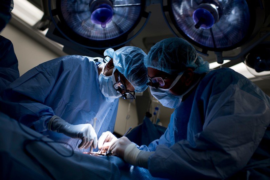 Don d’organes au Maroc : 630 transplantations rénales en 34 ans